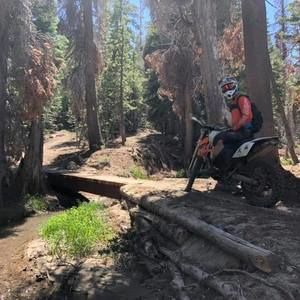 Meet your Posher, Drew